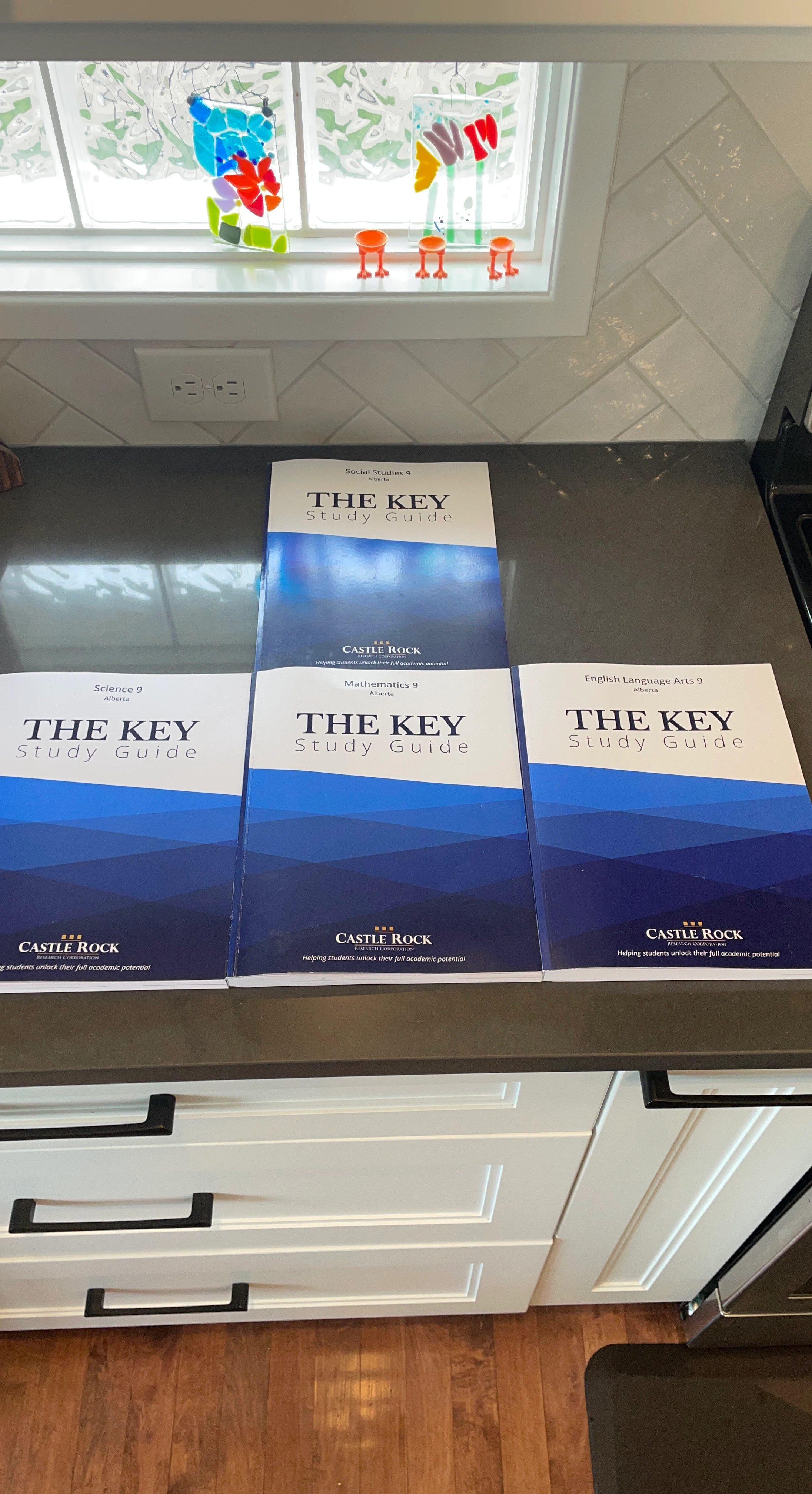 Castle Rock The Key Study Guides - Grade 9 Alberta