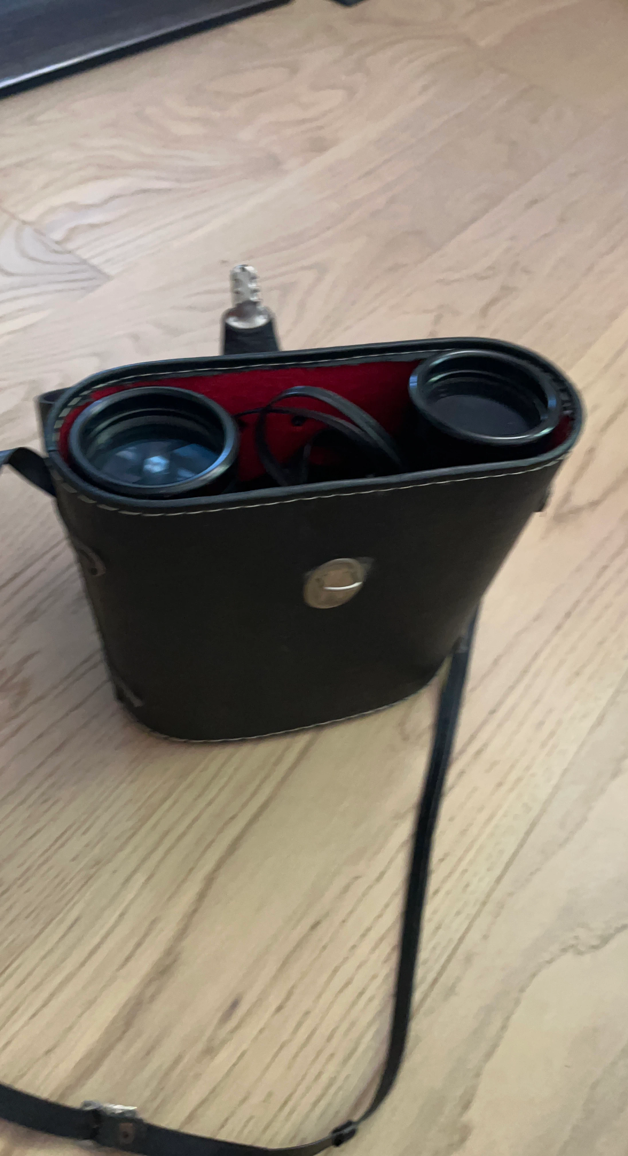 Vintage Binoculars with Black Leather Case