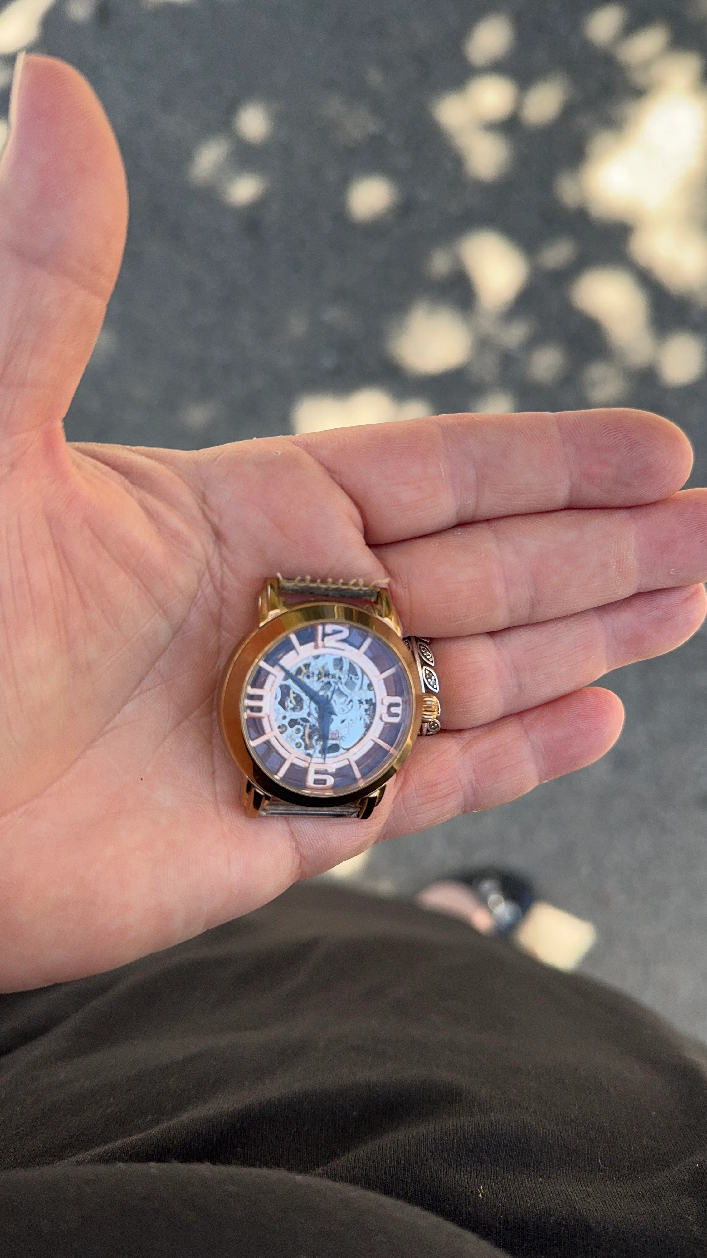 Stuhrling Automatic Skeleton Watch