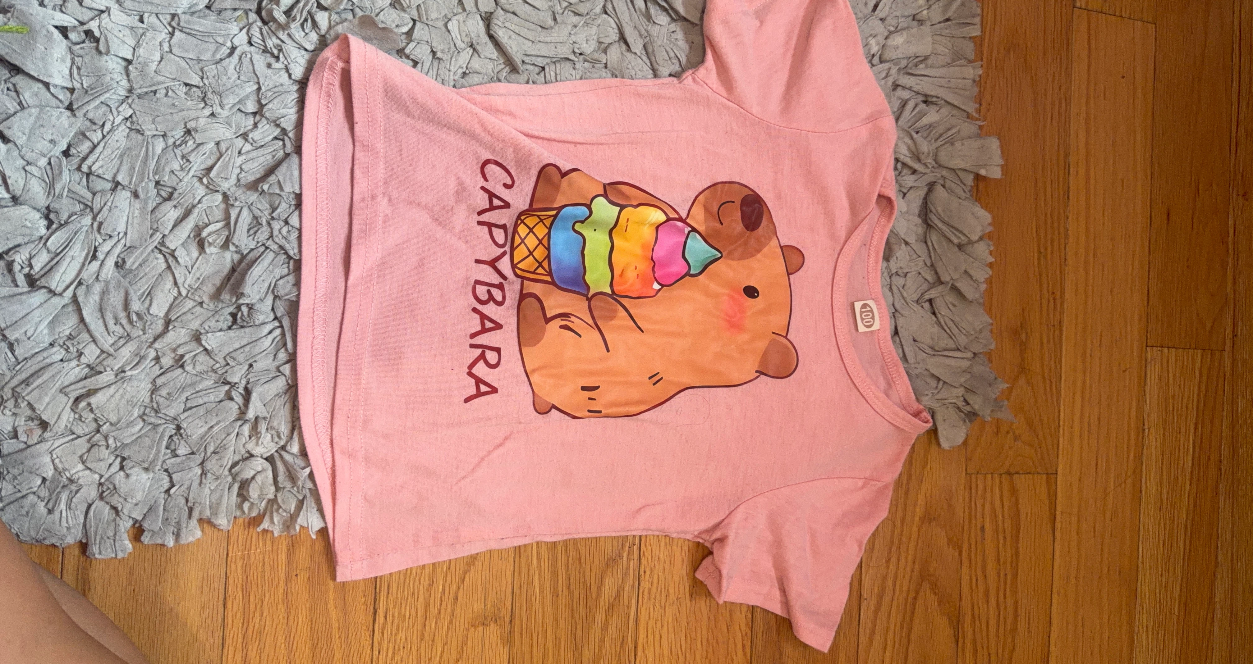 Pink Capybara Ice Cream T-Shirt