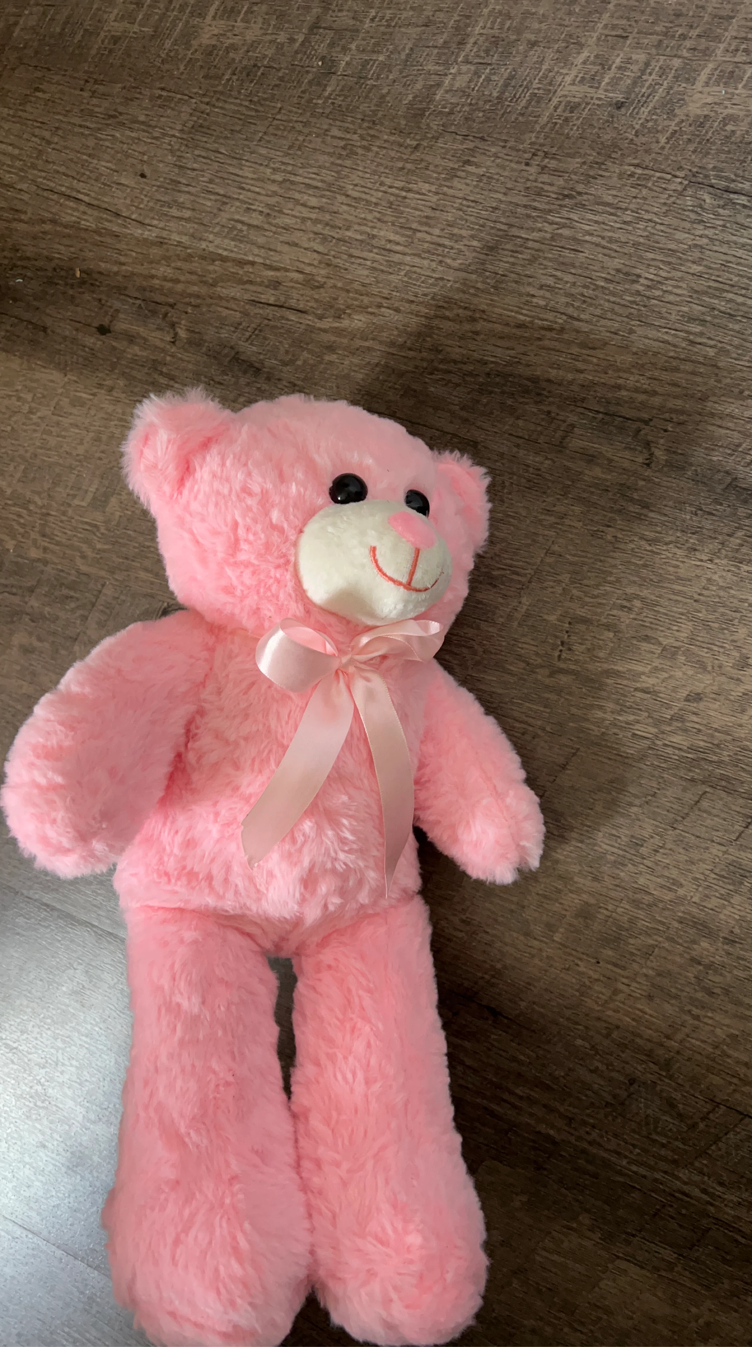Pink Teddy Bear
