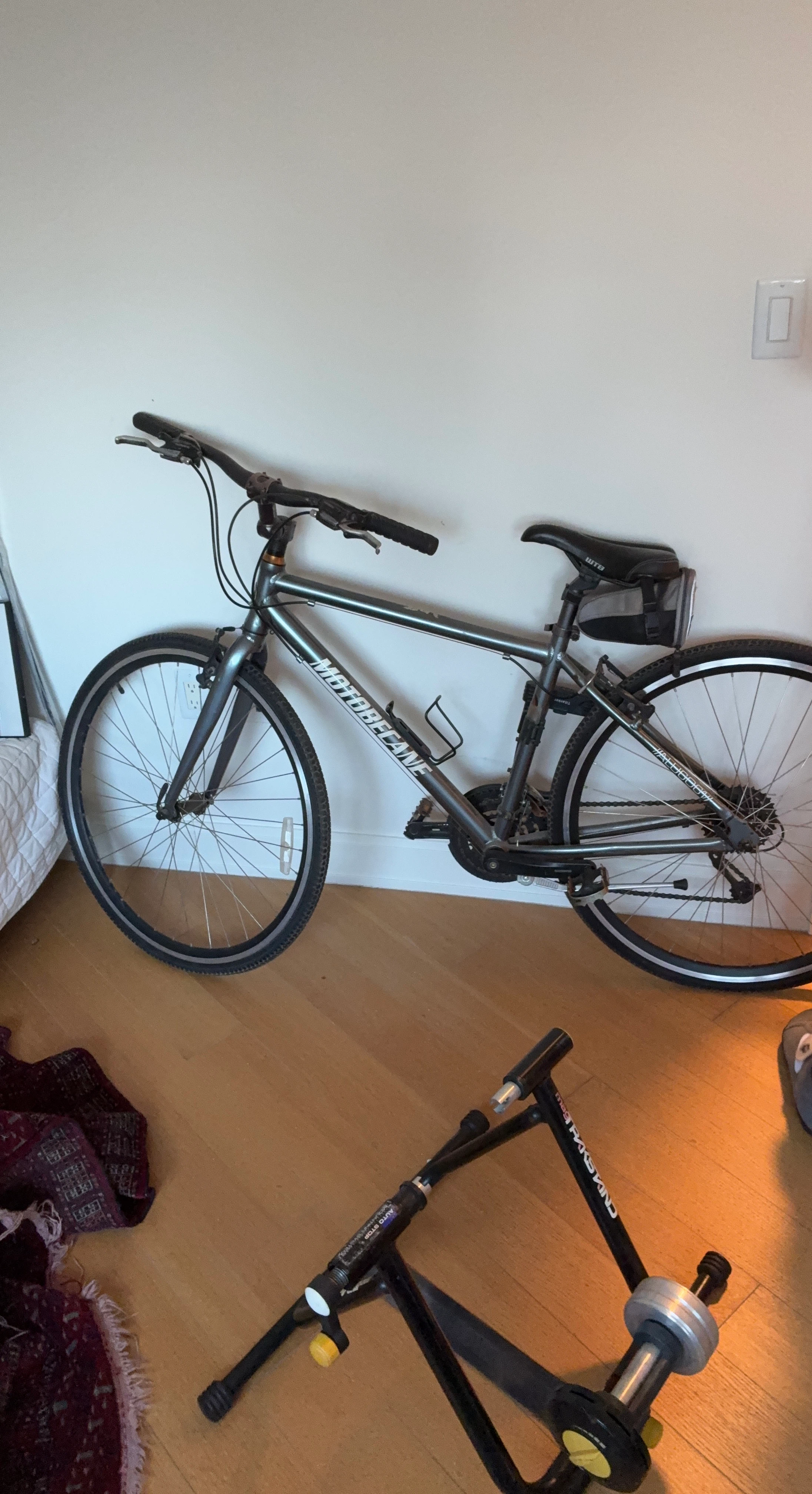 Motobecane hybrid bike & Mag Trakstand Trainer
