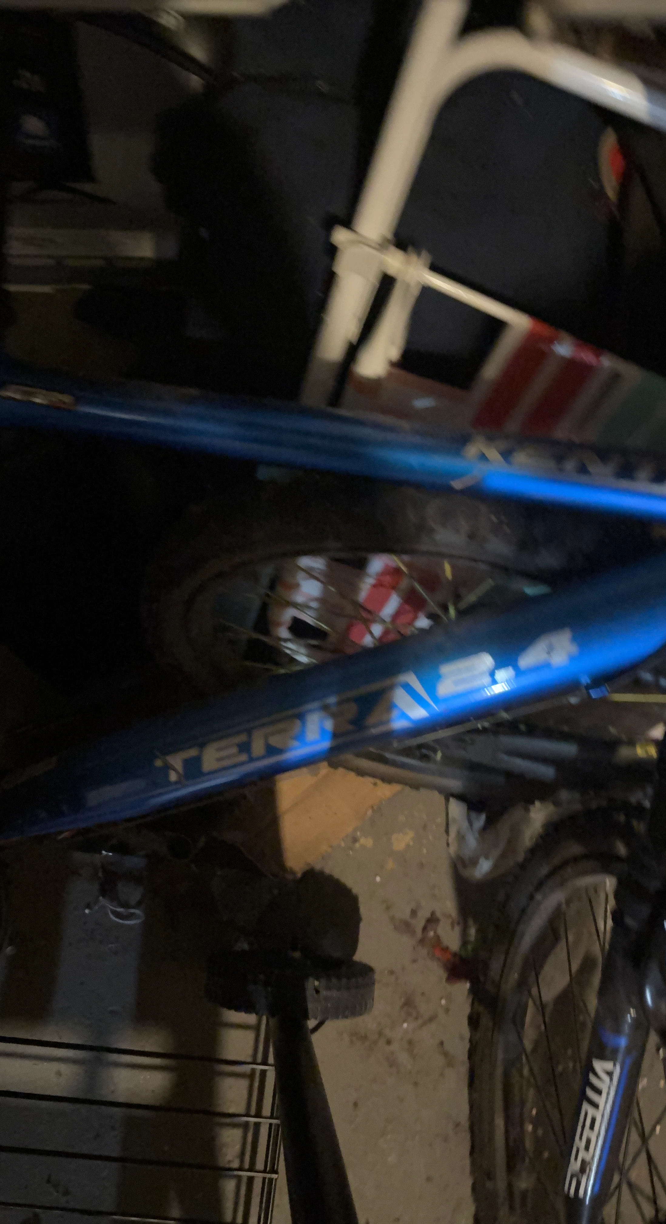 Diamondback "TERRA" 2.4 Mountain Bike