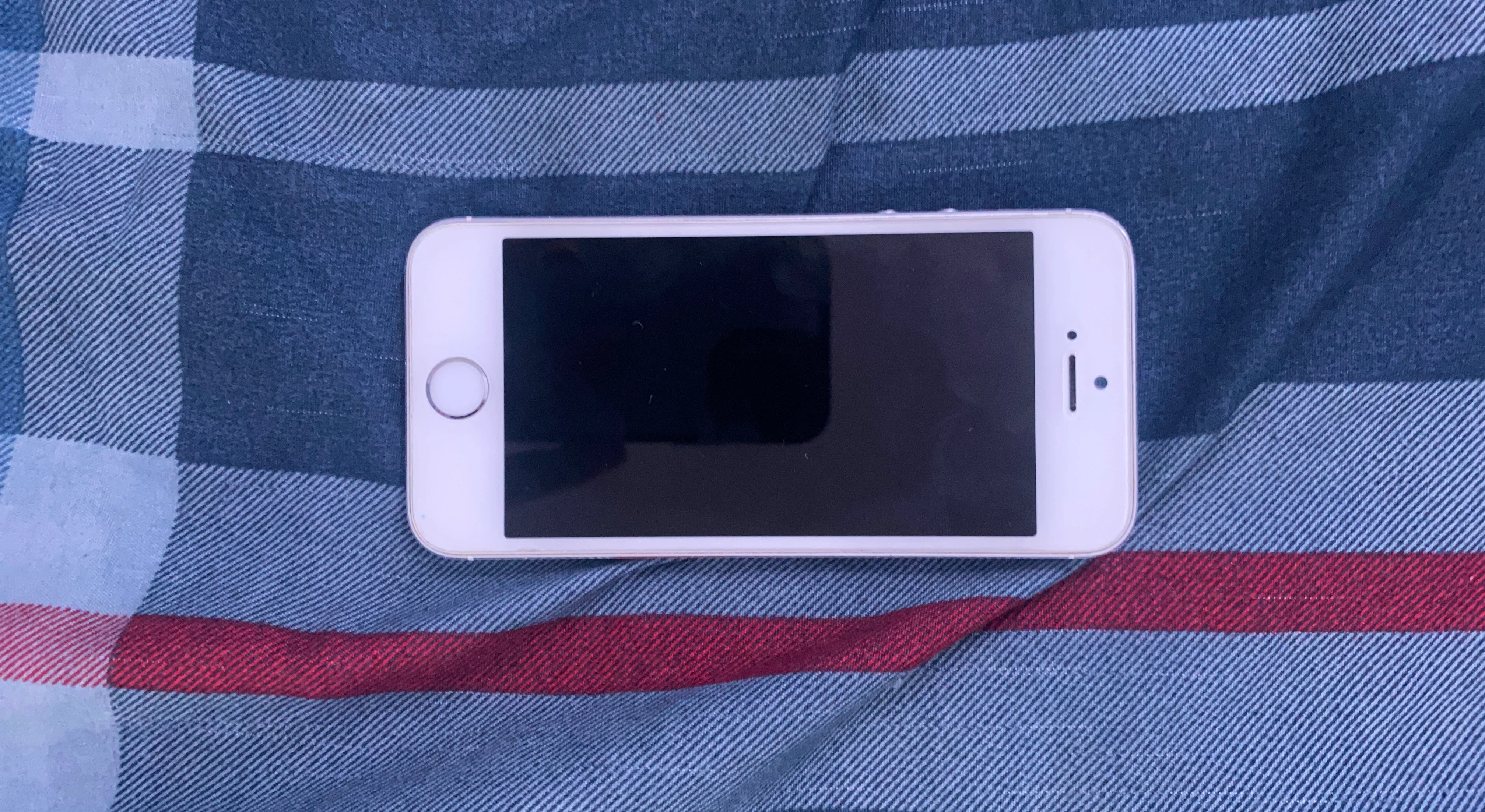 Apple iPhone 5s - Silver