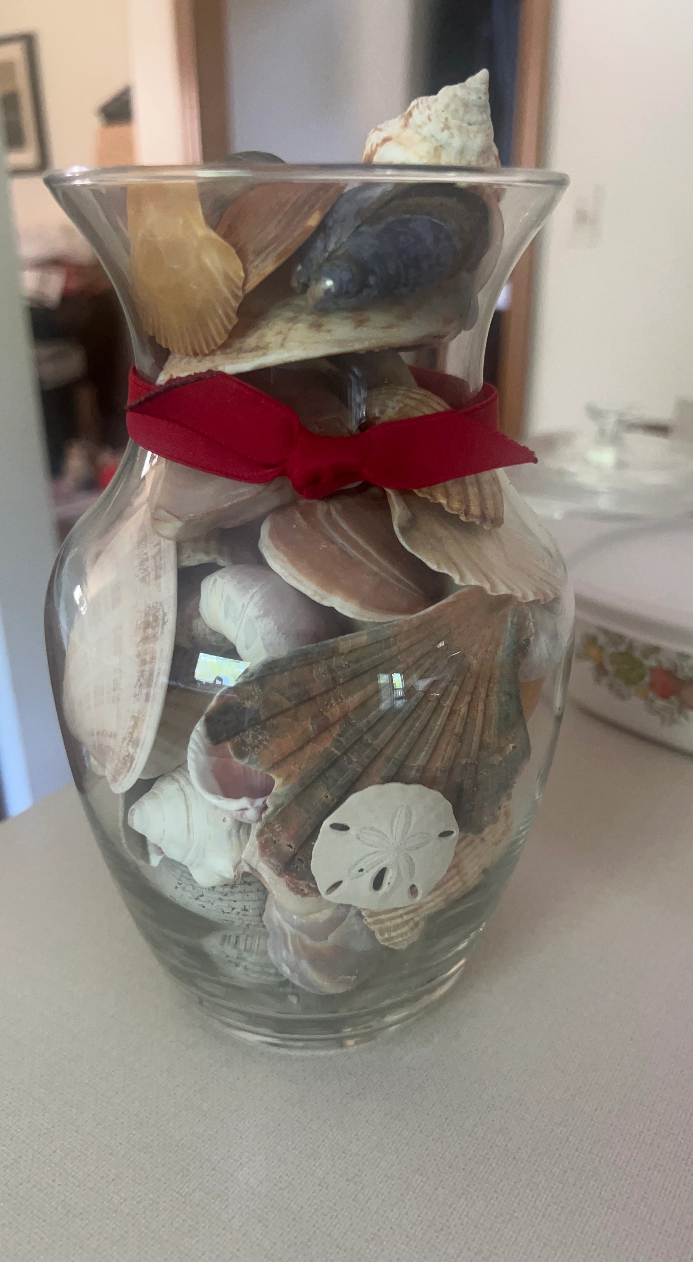Glass Vase with Assorted Seashells and Red Ribbon