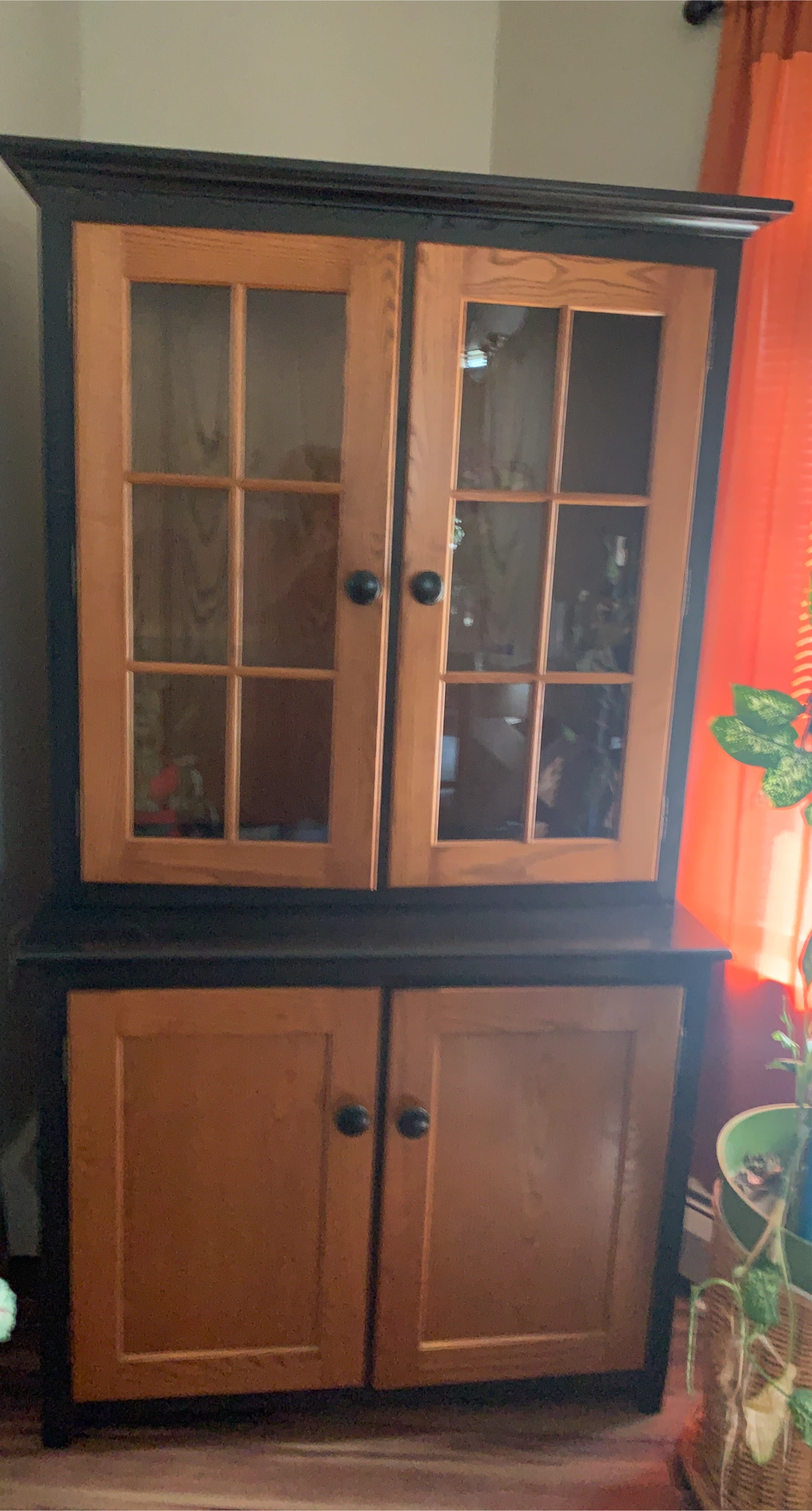 Two-Door Wooden Cabinet with Glass Front Doors