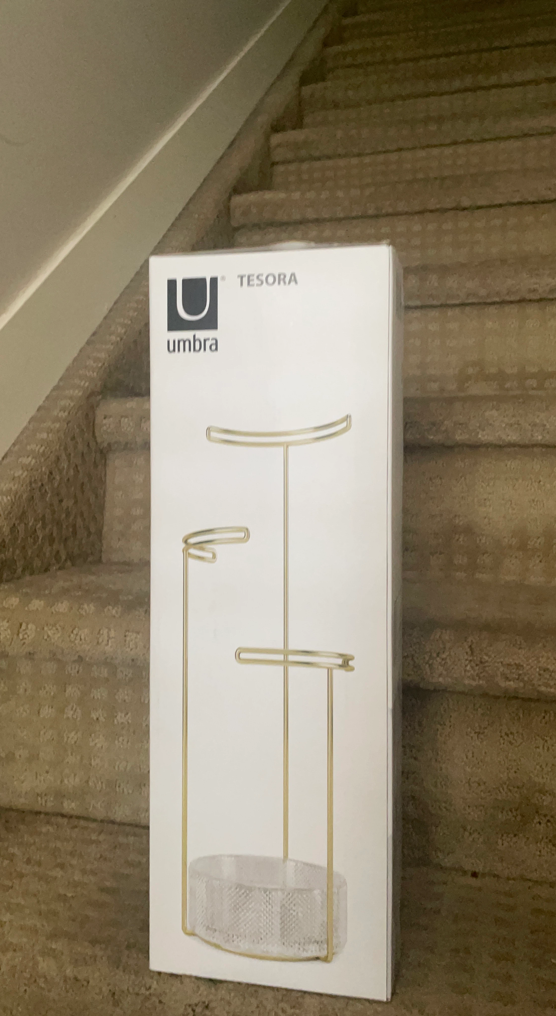 Umbra Tesora valet tray