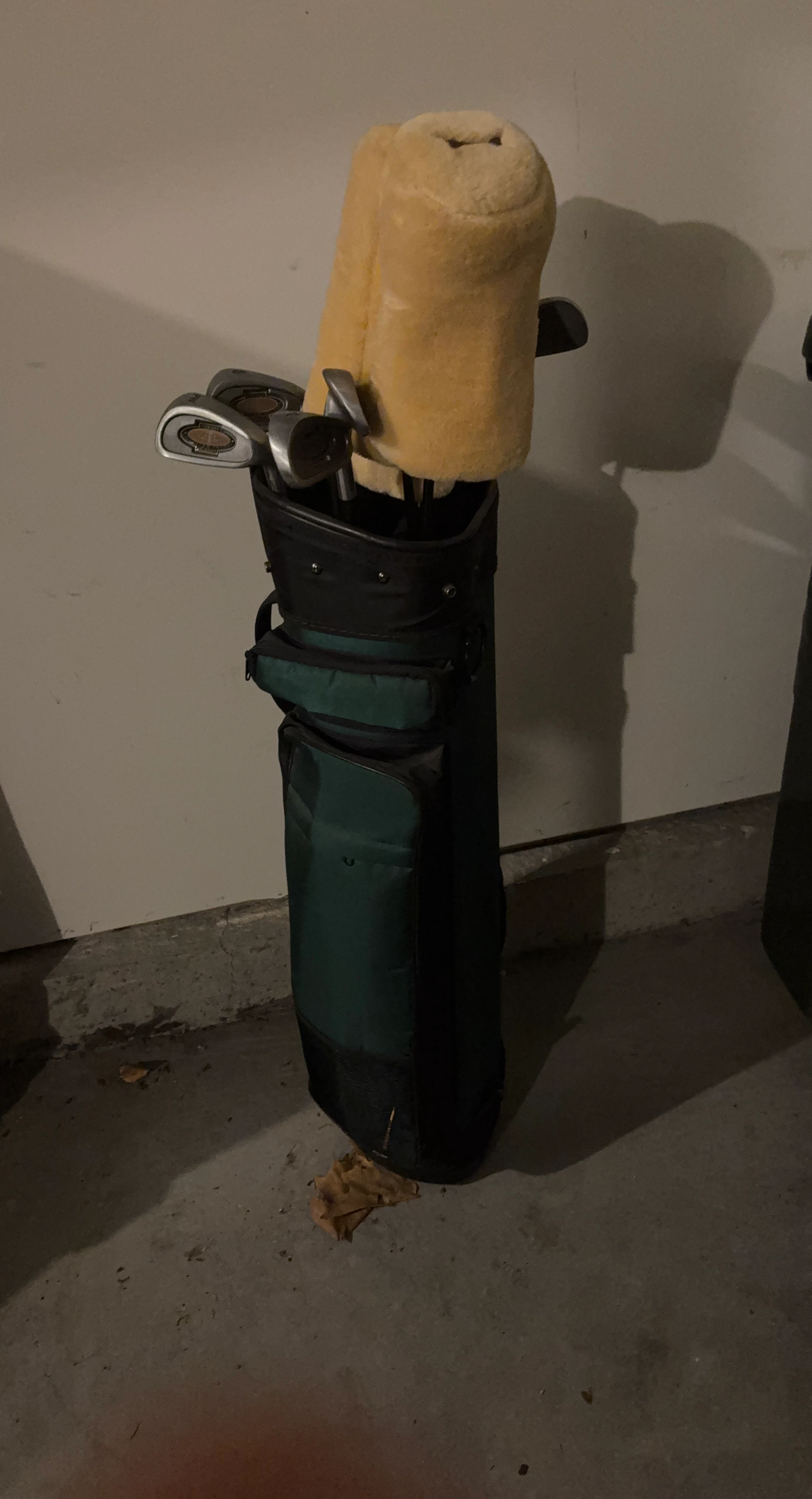 Ladies Golf Club Set with Bag