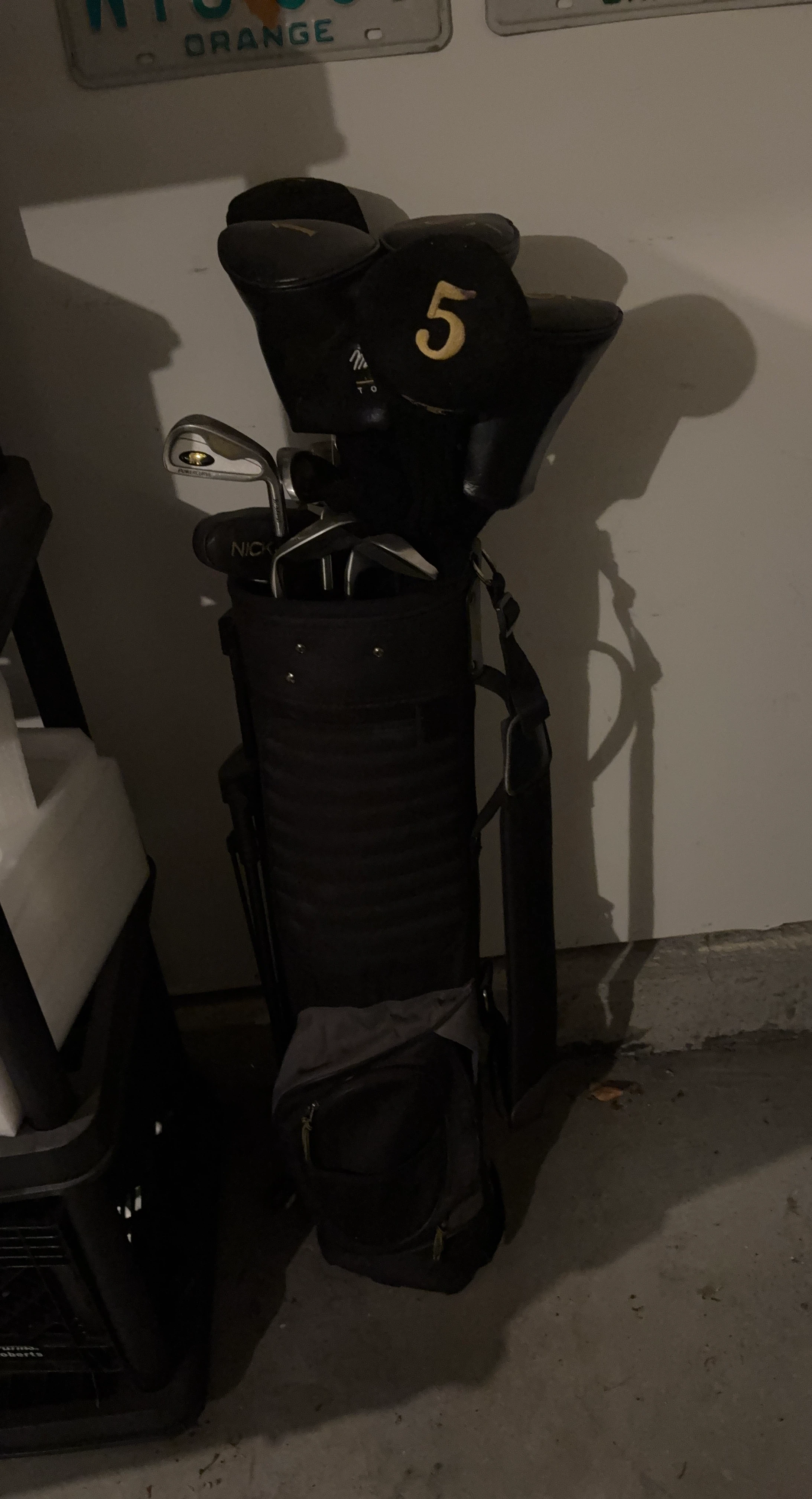 Gold Bear Gentlemen’s Golf Club Set with Bag