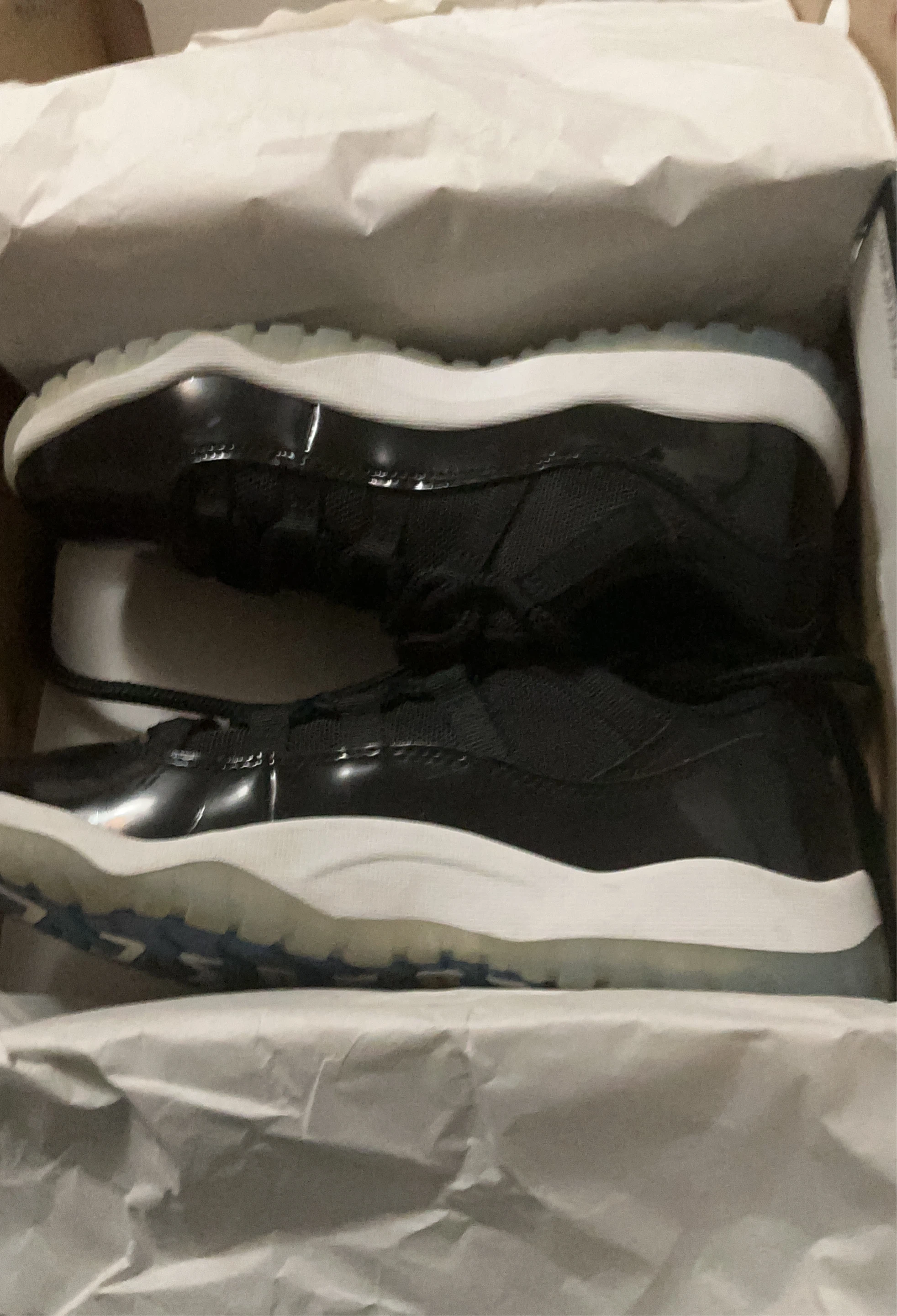 Air Jordan 11 Black and White Sneakers