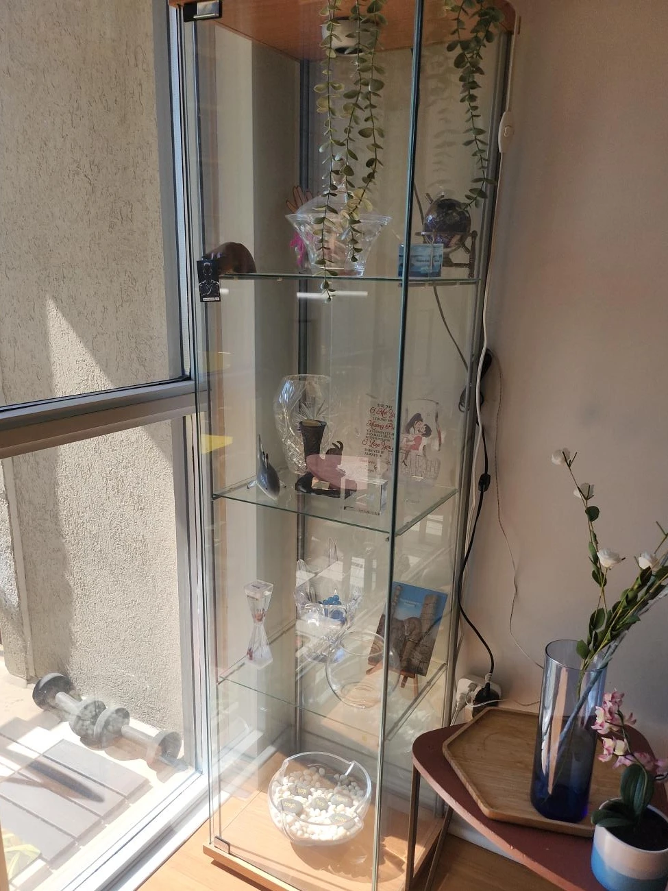 Glass Display Cabinet with Shelves
