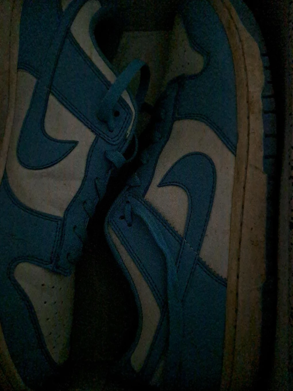 Nike Dunk High Sneakers