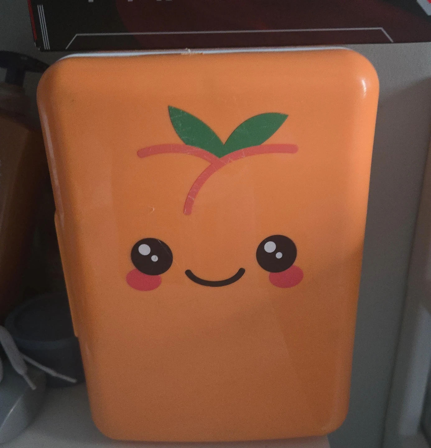 Orange Fruit Face Storage Container