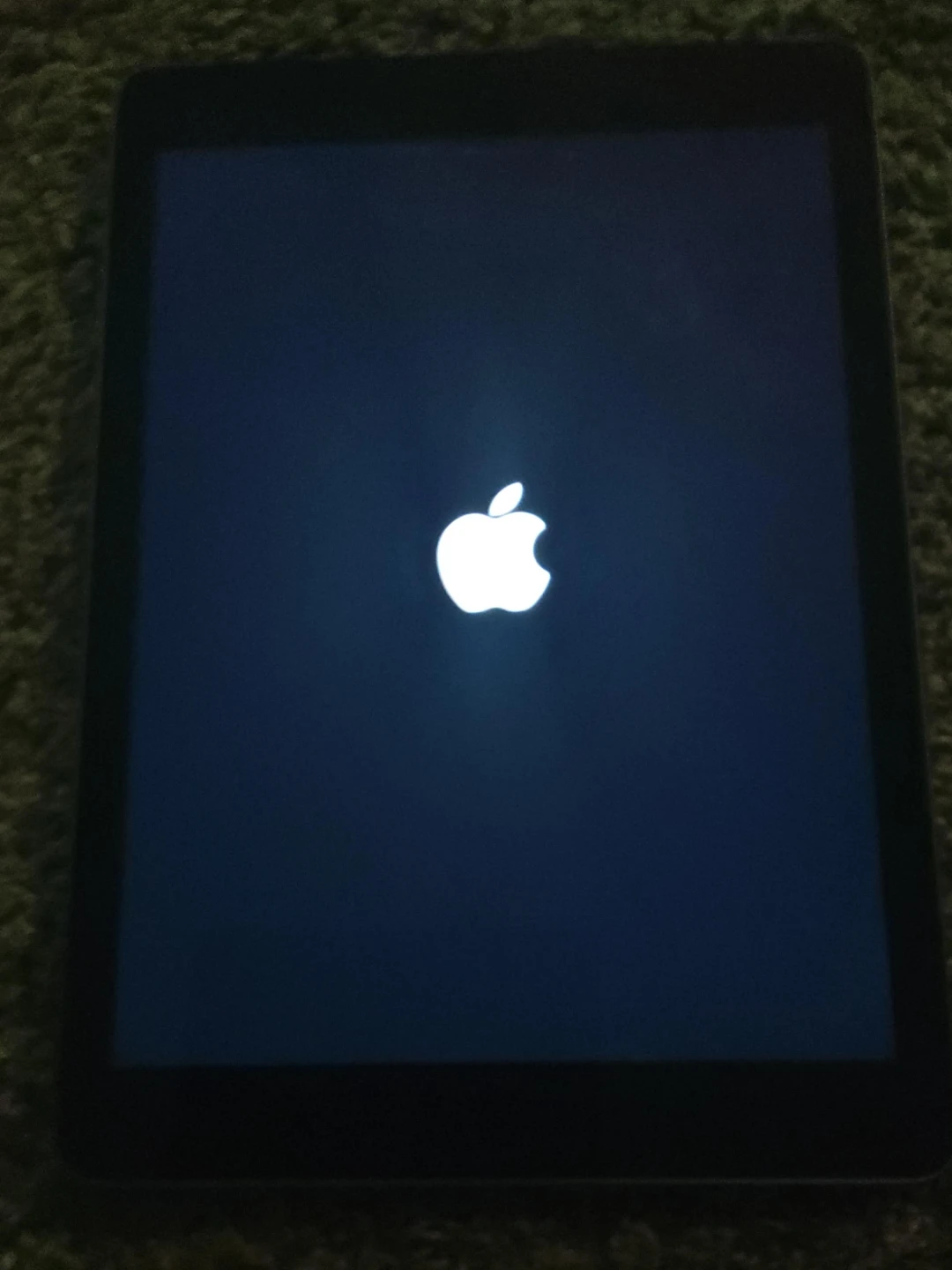 Apple iPad