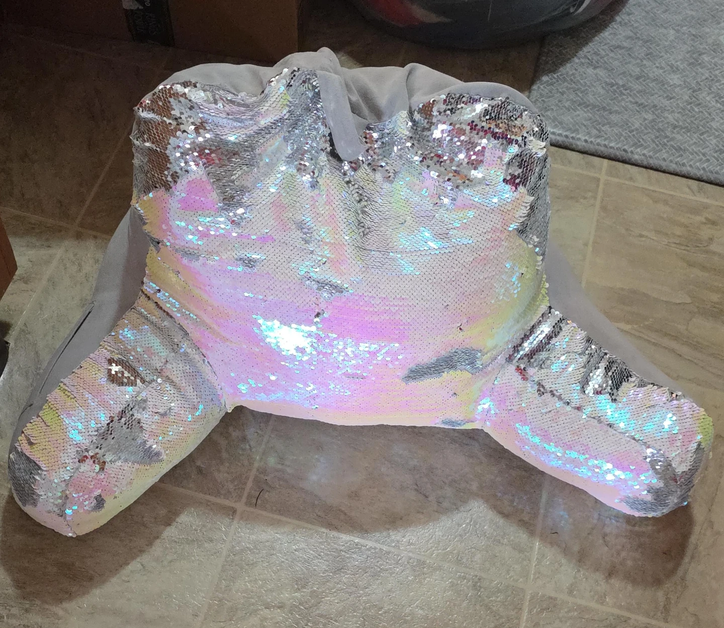Sequin Reading Pillow