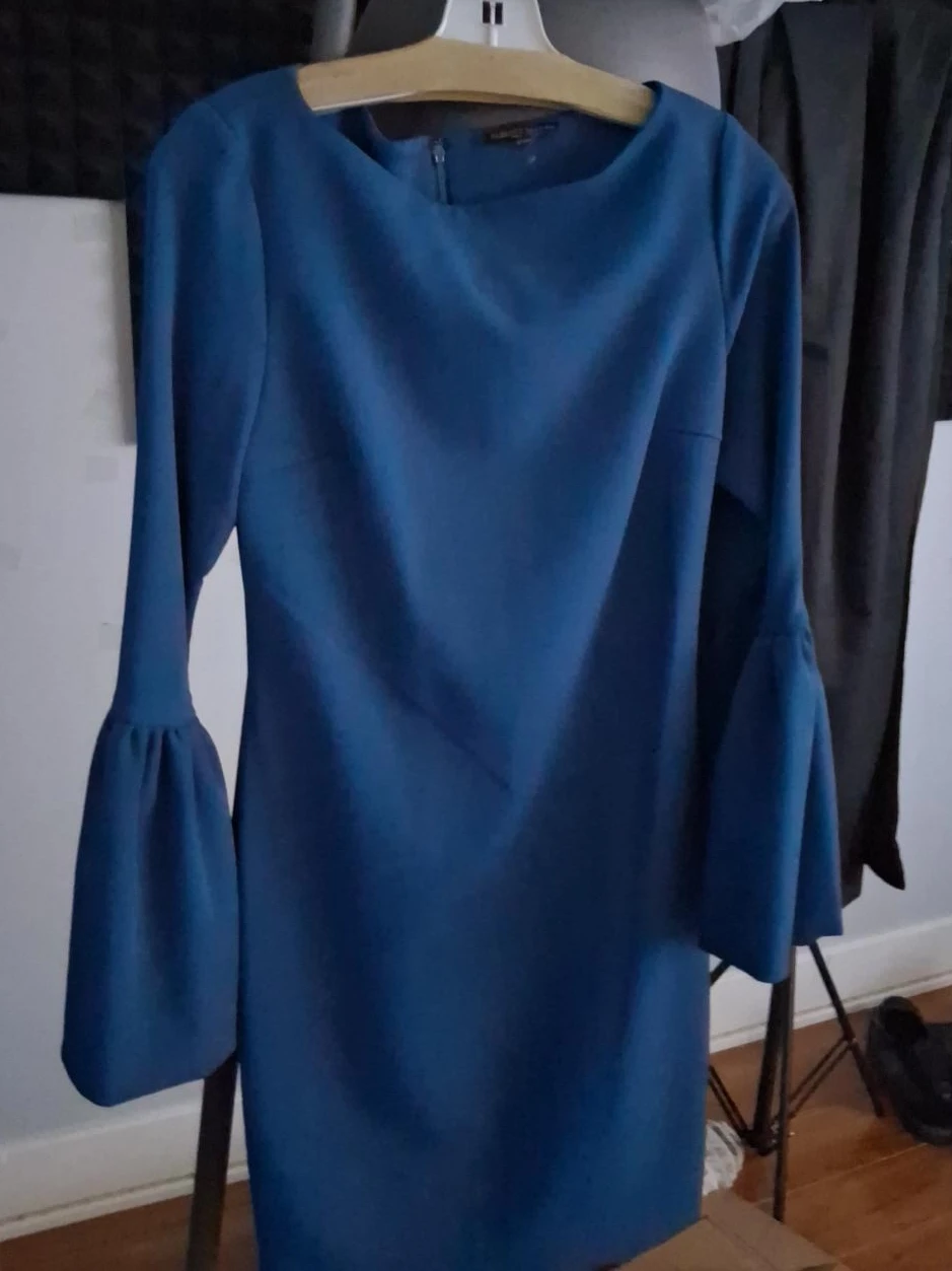Blue Bell Sleeve Dress