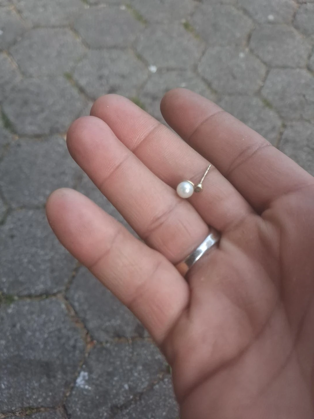 Gold Pearl Earring