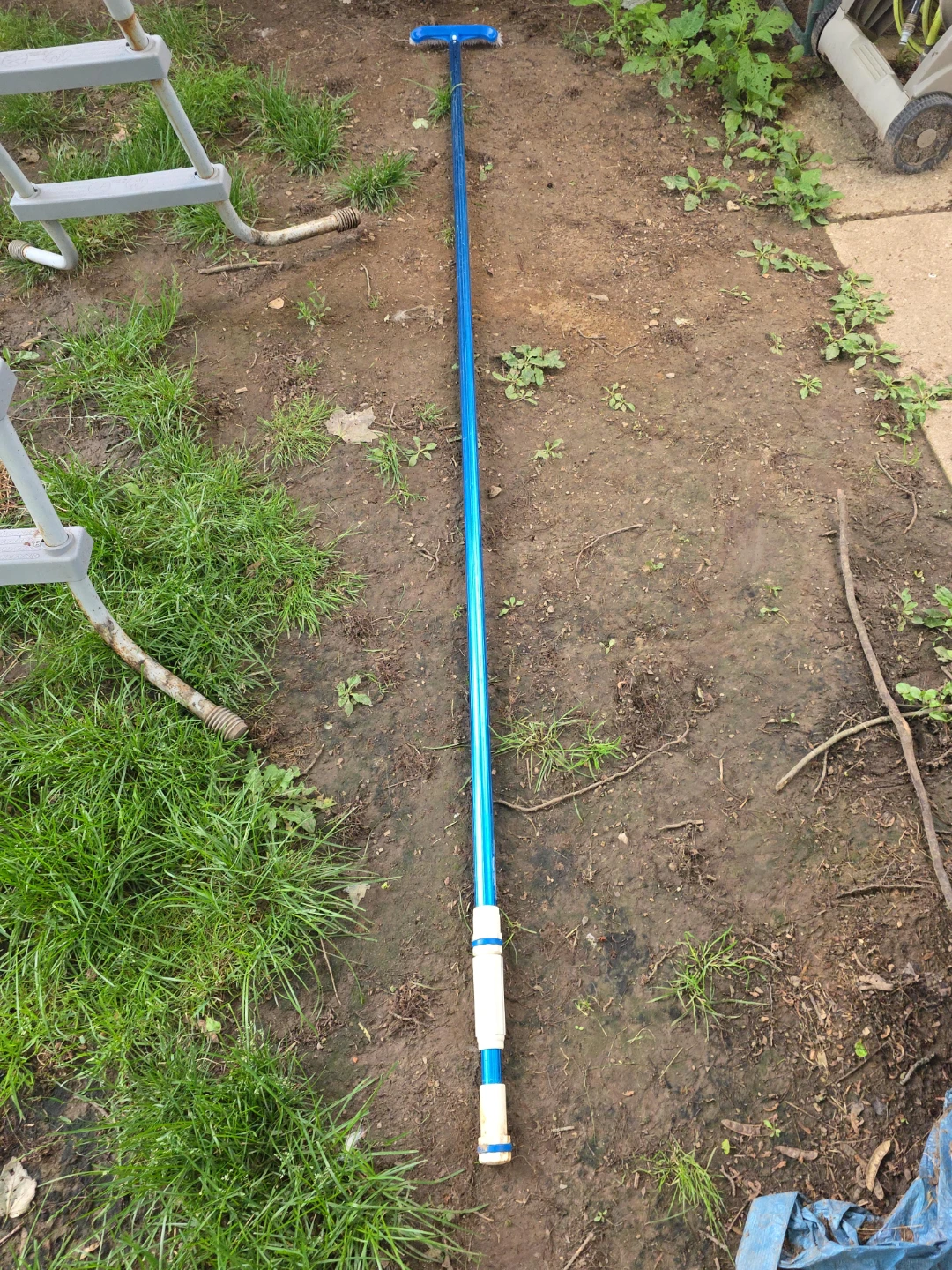 Blue Pool Skimmer Pole