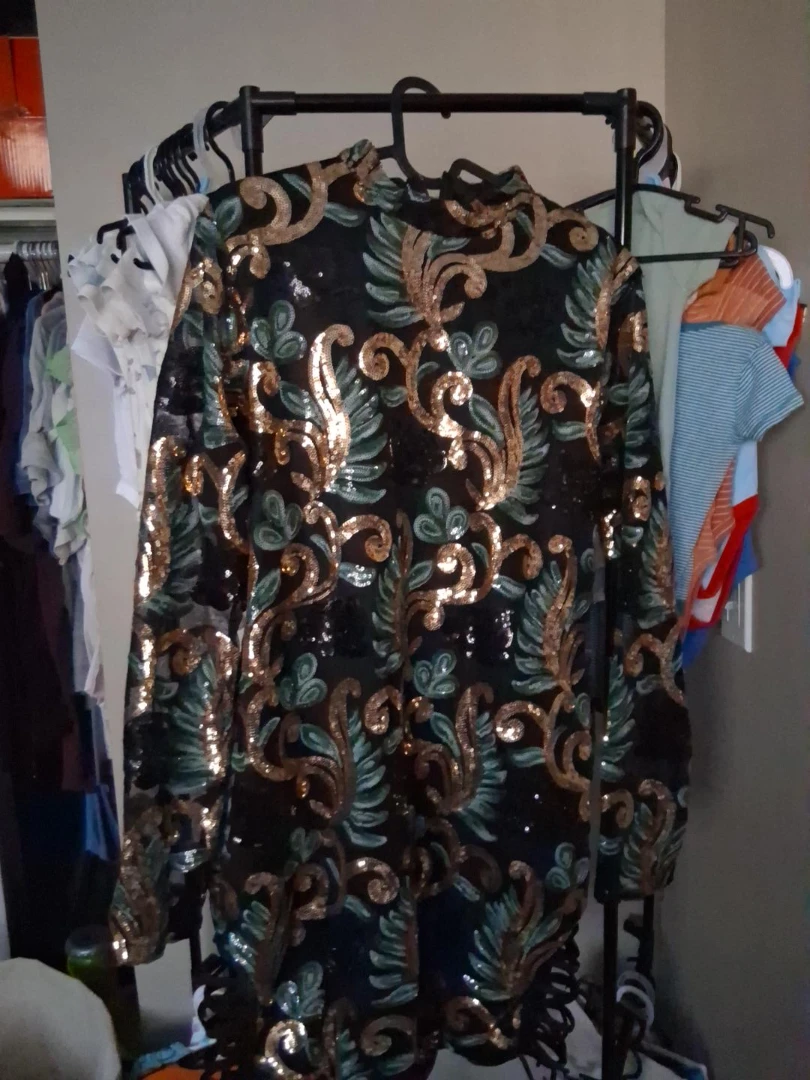 Sequin Embellished Dress