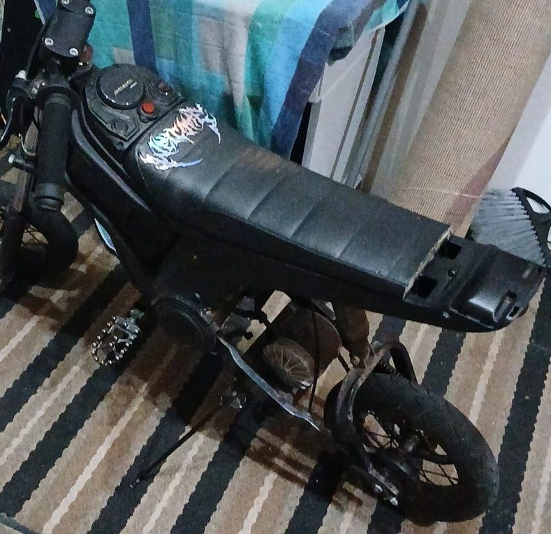 Mini Bike
