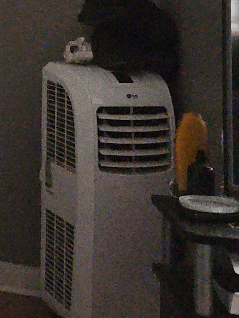 LG Portable Air Conditioner