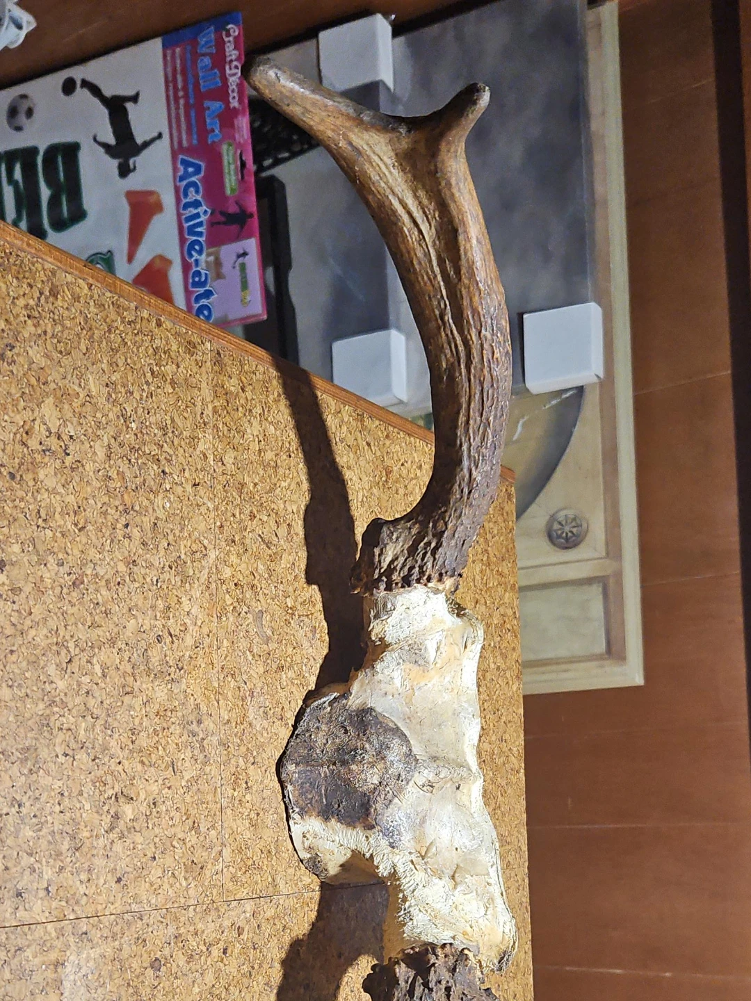 Deer Antlers Mount