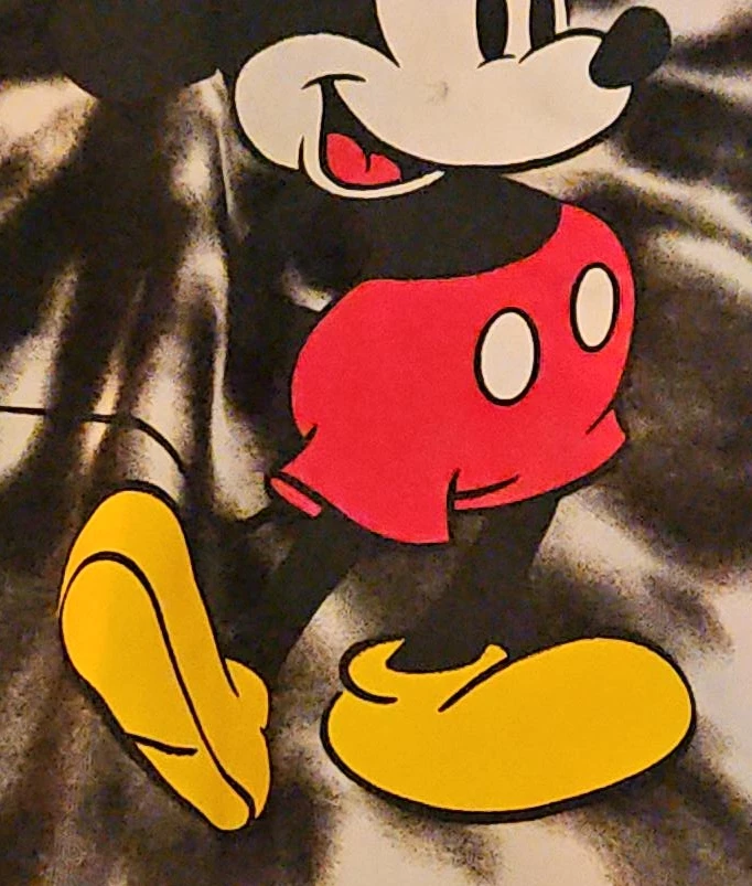 Mickey Mouse Graphic Hoodie