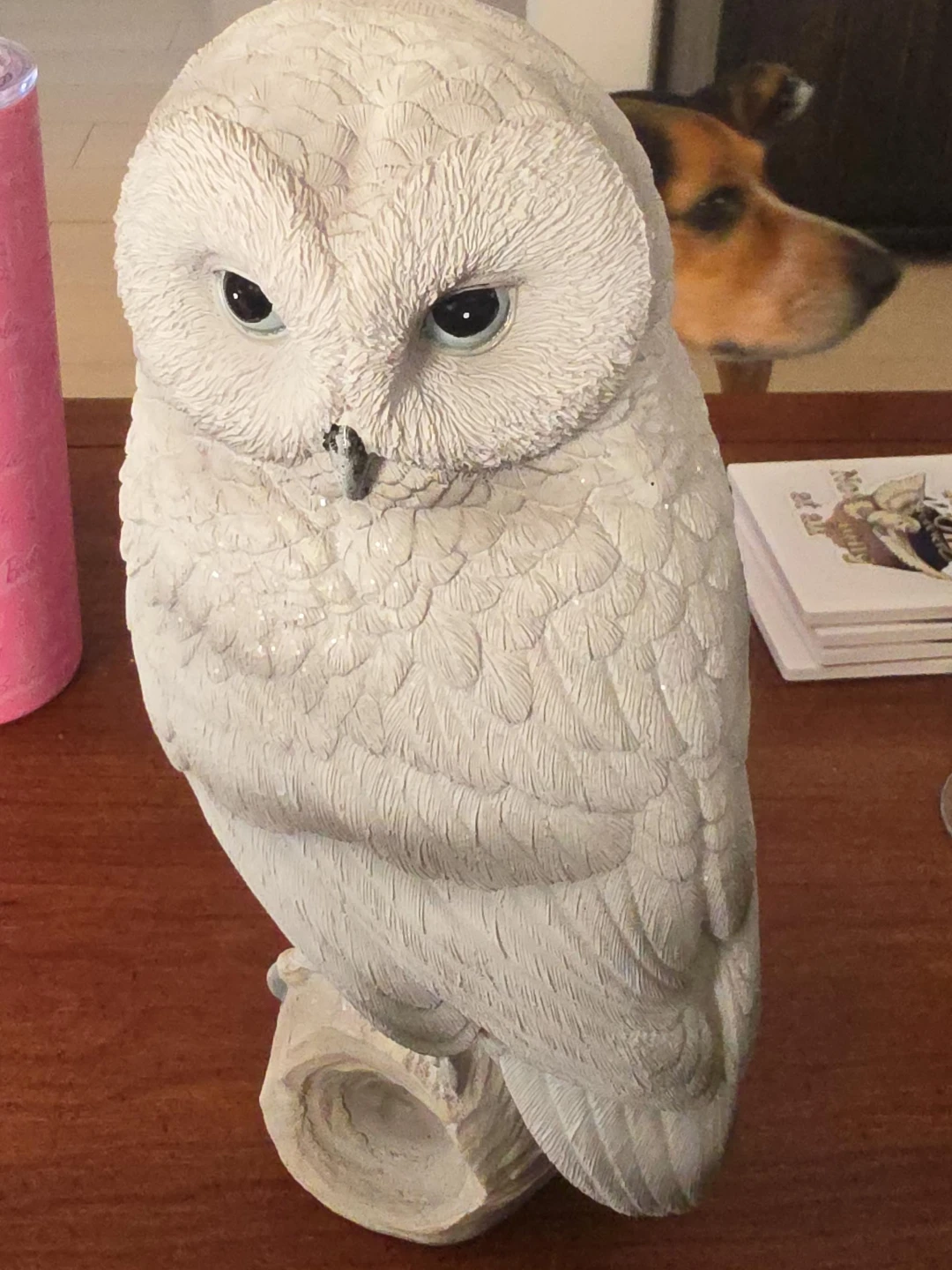 Snowy Owl
