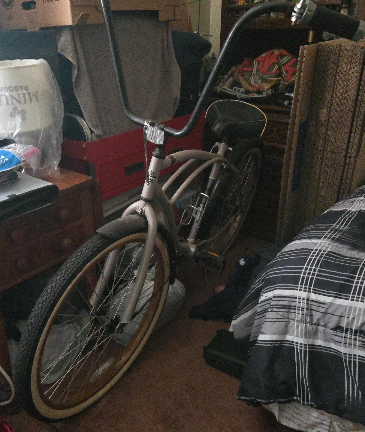 Cruiser Bicycle