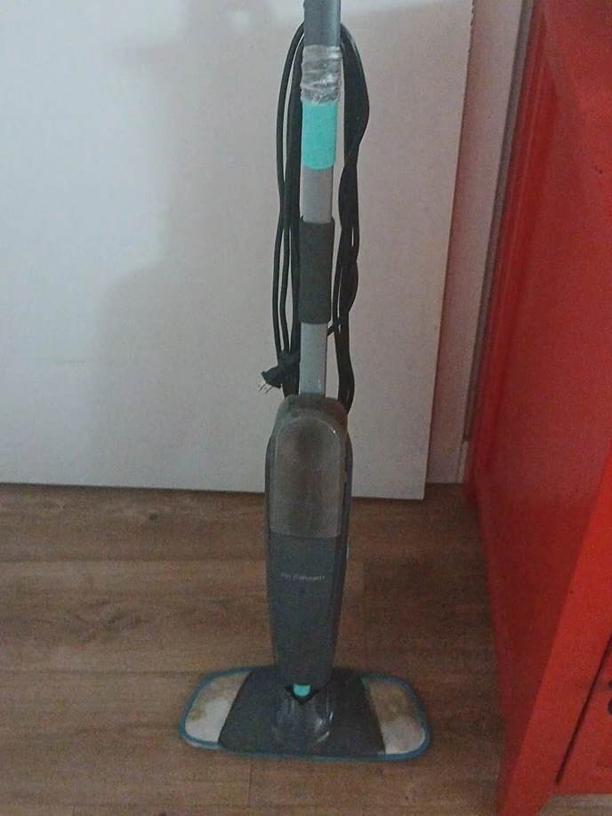 Euroflex Steam Mop