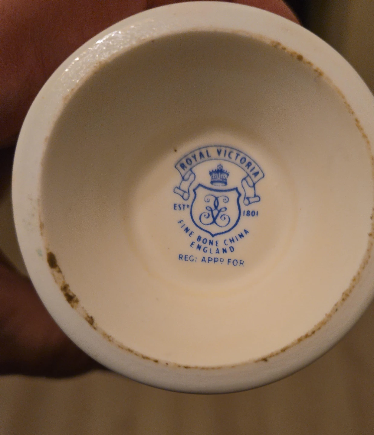 Royal Victoria Fine Bone China Mug