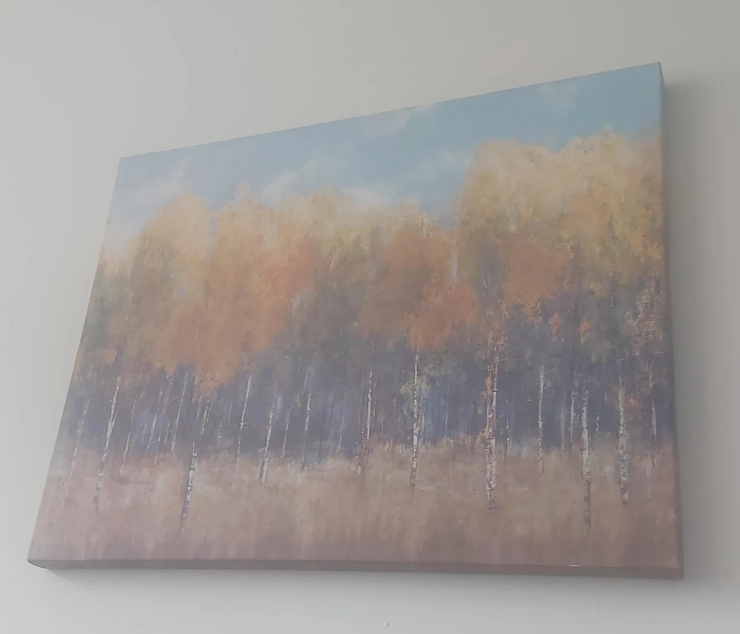 Canvas Art Print - Birch Trees in Autumn