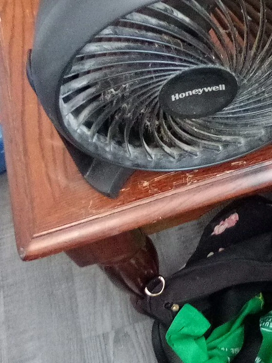 Honeywell Fan
