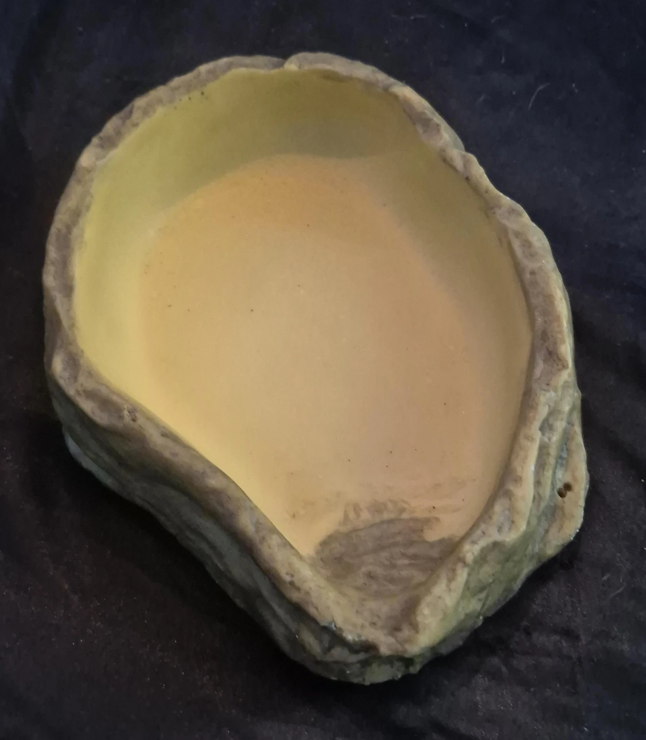 Reptile Rock Water Dish