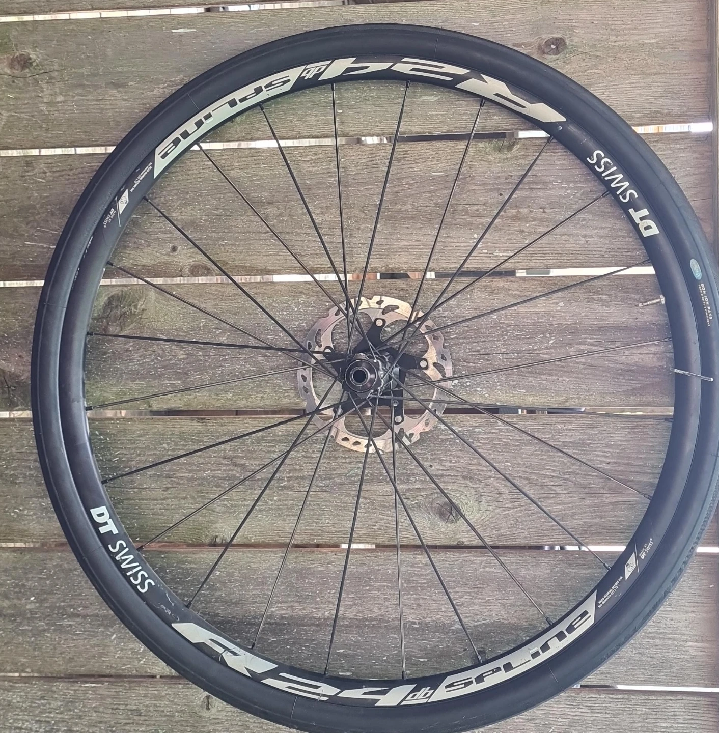 DT Swiss R24 Spline Wheel front