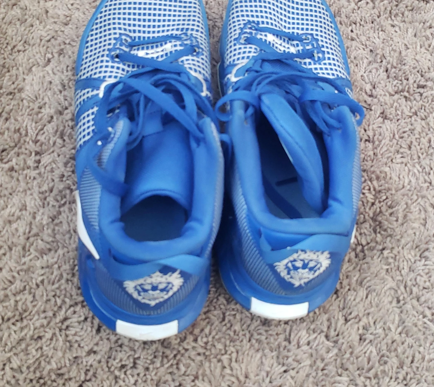 Blue Nike Basketball Shoes