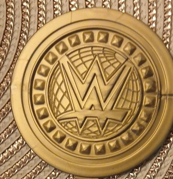 WWE Championship Belt sign