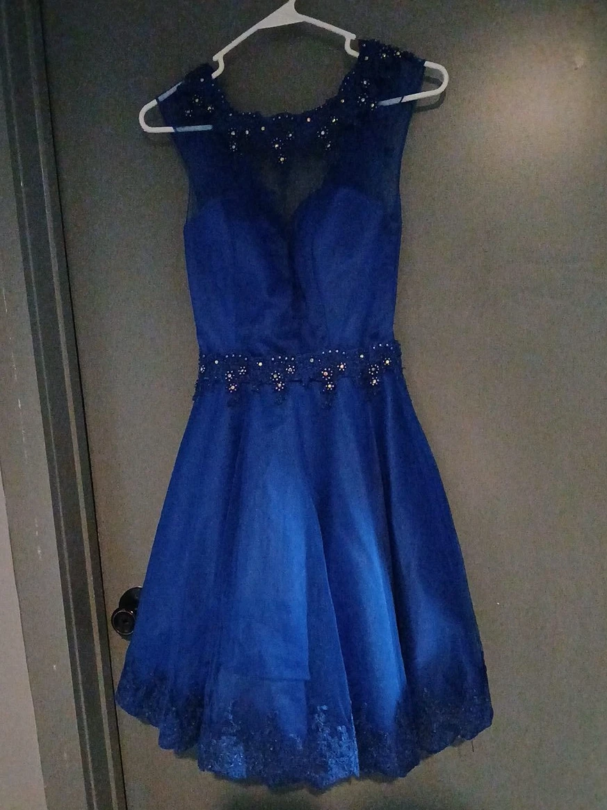 Royal Blue Lace Embellished Cocktail Dress