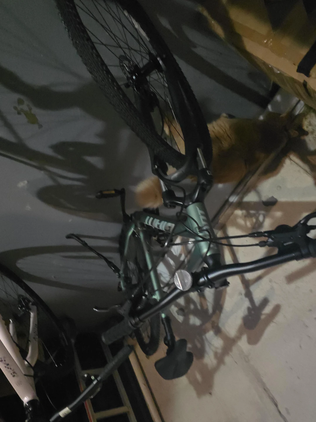Giant Mountain Bike