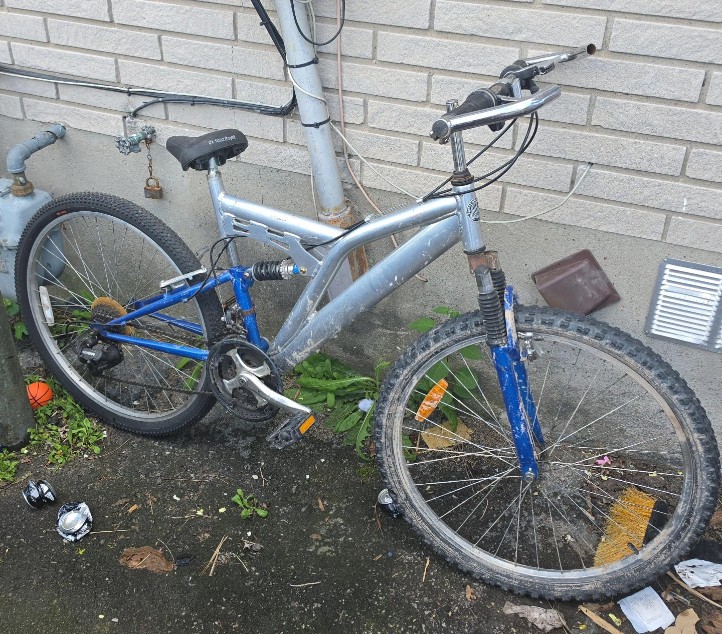 Mountain Bike - Silver/Blue
