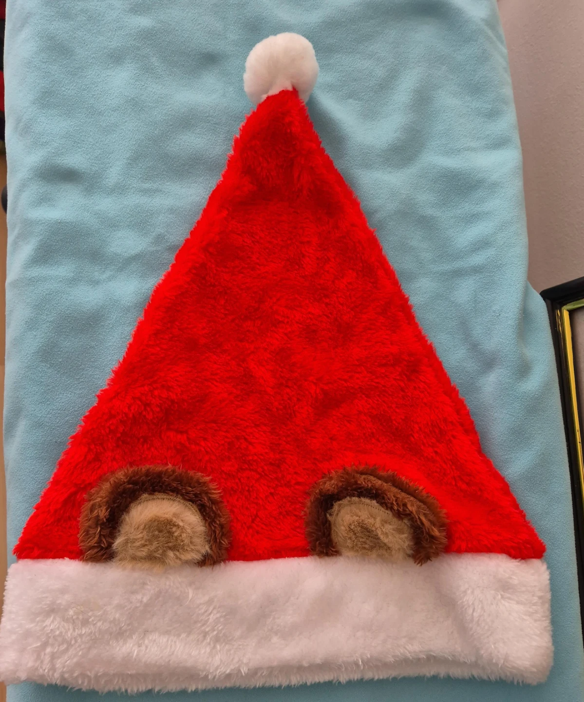 Furry Santa Hat with Ears