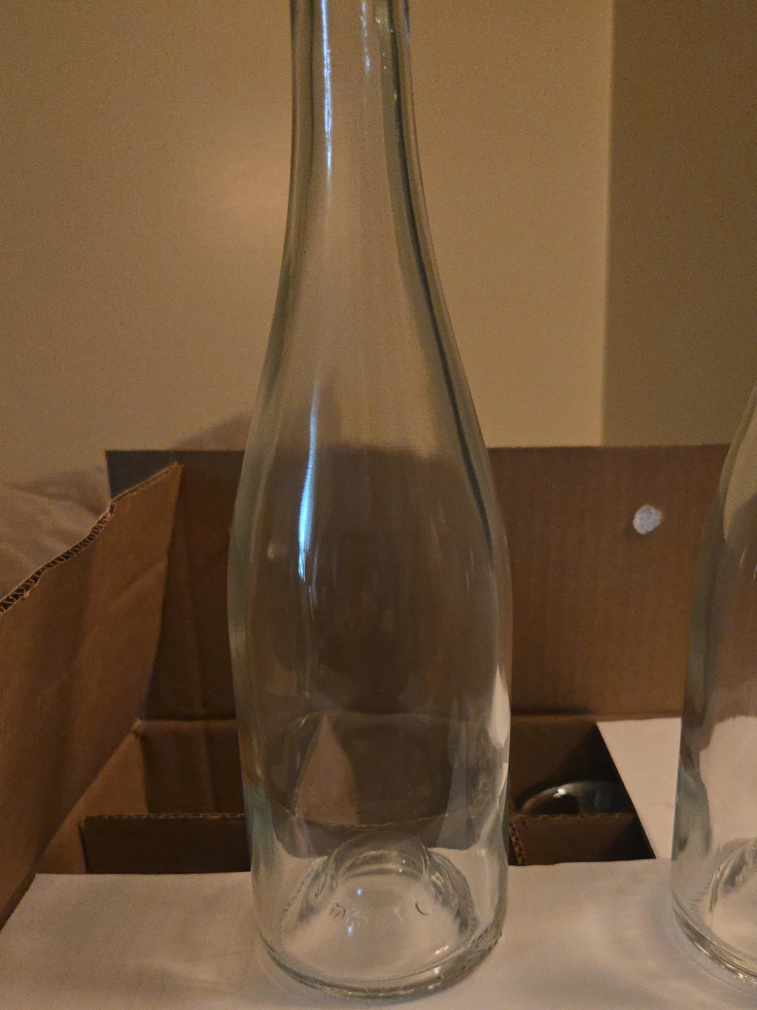 Set of 12 Clear Glass Bottles