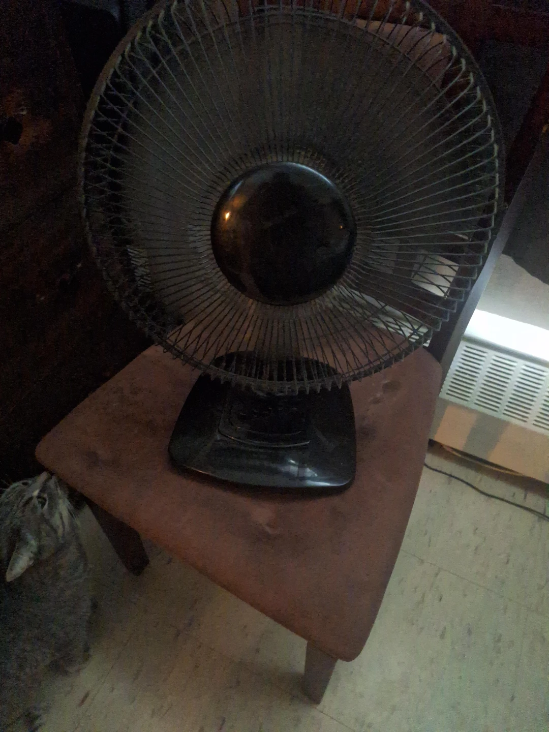 Black oscillating desk fan
