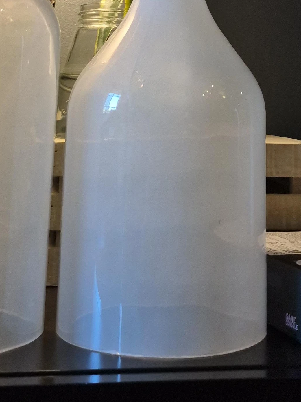 Frosted Glass Vase