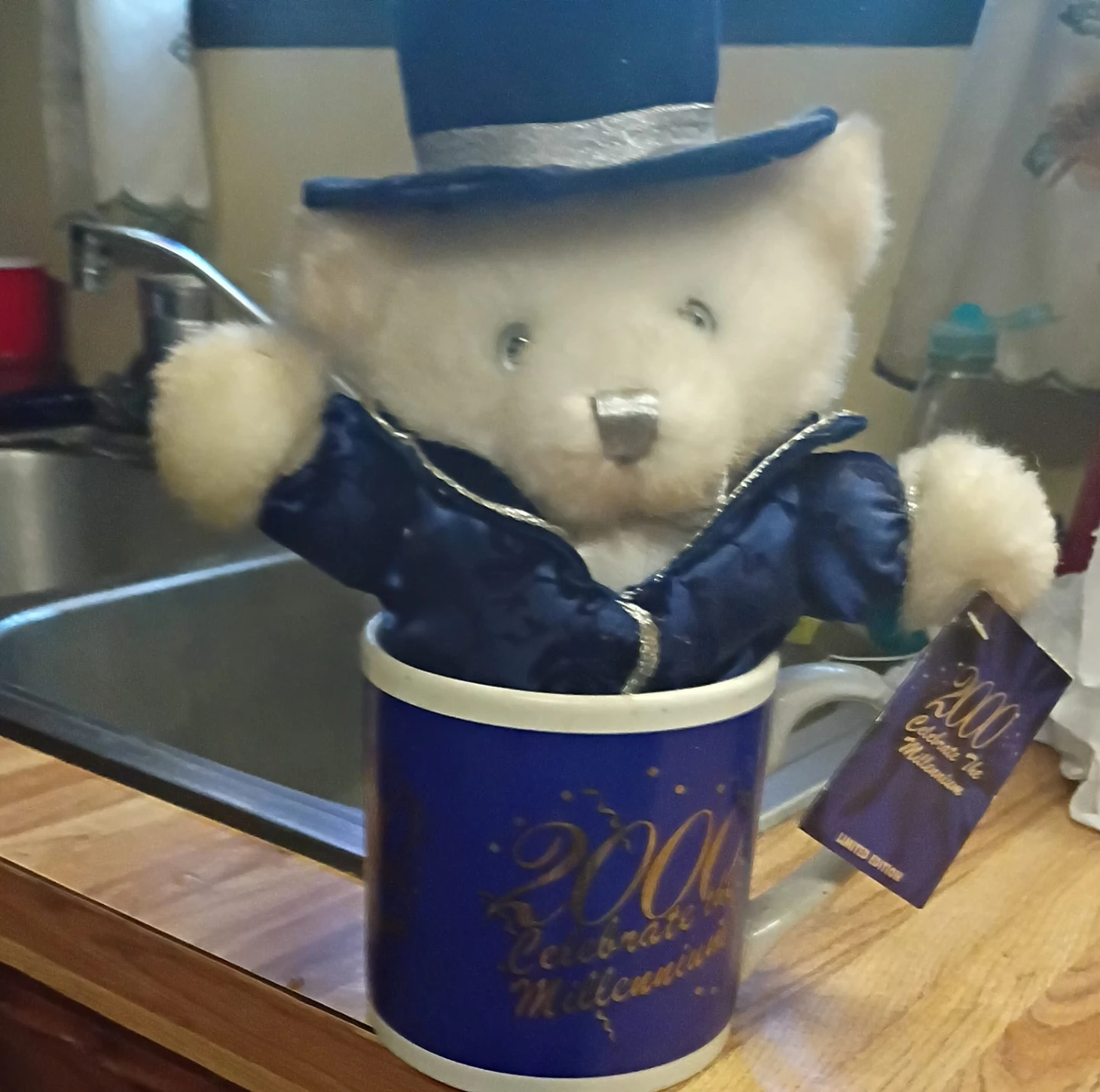 Celebrate The Millennium Teddy Bear with Mug
