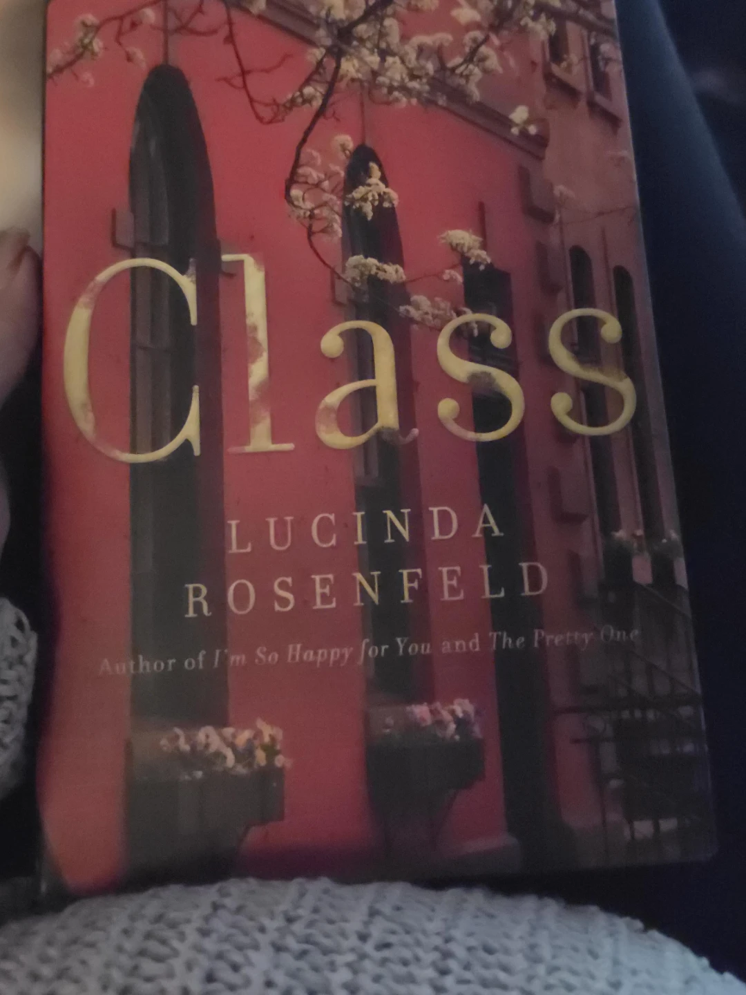 Class by Lucinda Rosenfeld hardcover Book