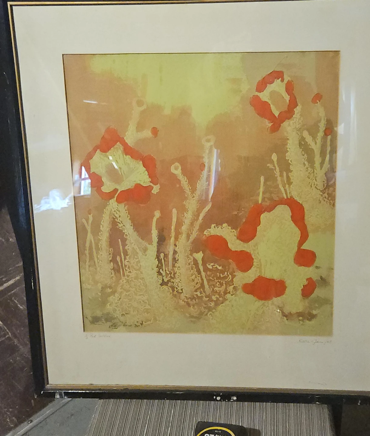 Framed Art Print - Red Poppies