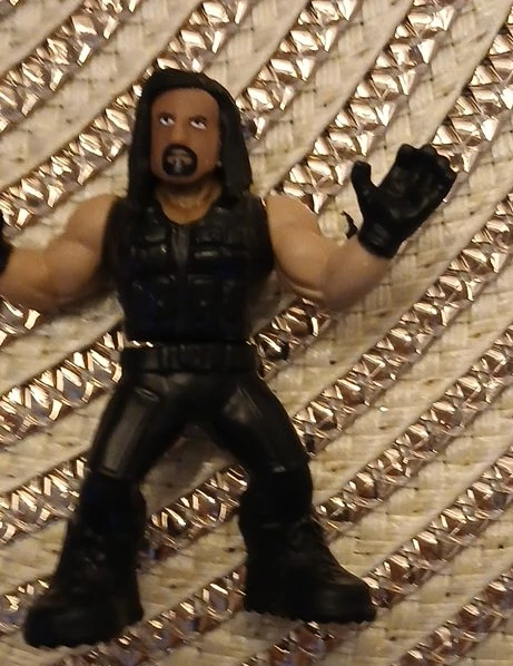 Wrestling Action Figure