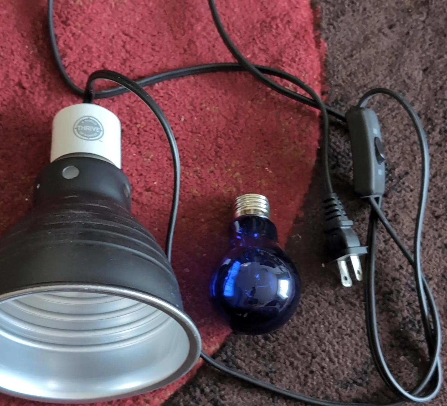 Thrive Reptile Heat Lamp with Blue Bulb