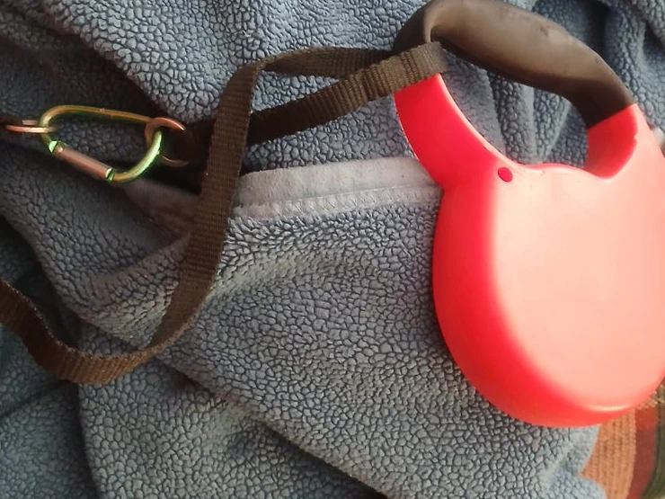 Retractable Dog Leash - Red